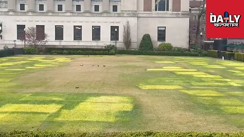 Columbia University Lawn Has Patches Due To Now-Expelled Pro-Palestinian Encampments After NYPD Raid