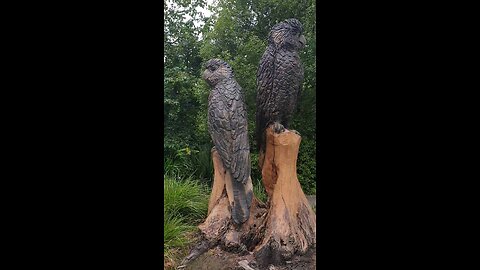 Chainsaw Carving After Tree split in half by lightning