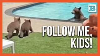 Paw-Tay! Mama Bear Teaches Cubs to Swim in California Pool