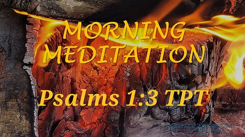 Morning Meditation -- Psalm 1 verse 3 TPT