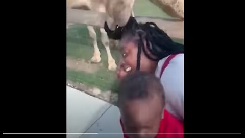 Random Funny Videos |Best Fails of the Week 2023 | Cute People And Animals Doing Funny Things P