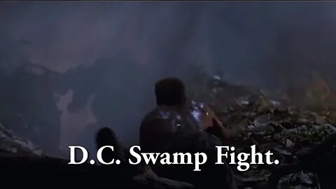 D.C. Swamp Creature Fight