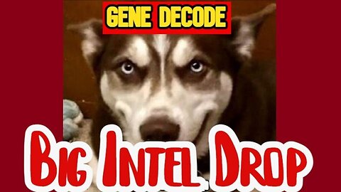 Gene Decode Big Intel: Prepare for a Mind-Blowi