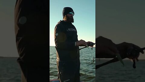 THIS Tip Will Help You Catch GIANT BASS