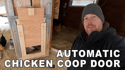 Automatic Chicken Coop Door DIY