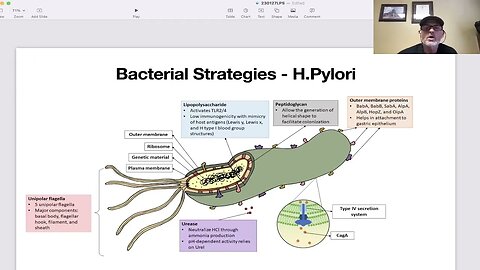 Chip Talks: Lipopolysaccharides (LPS)