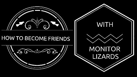 How to become friends with MONITOR-LIZARDS?