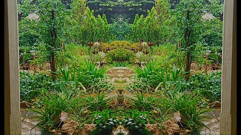 Summer Storm in an Australian Garden. (Mirrored)