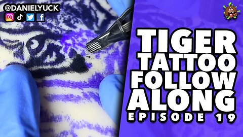Tiger Follow Along Tattoo Episode 19