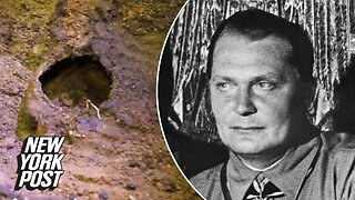 Human remains and baby skeleton excavated outside Nazi leader's home