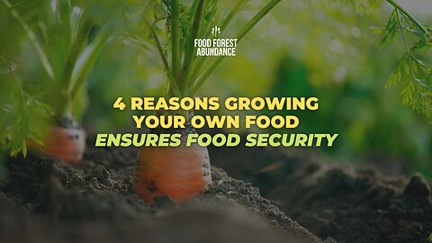 4 reasons growing your own food ensures food security