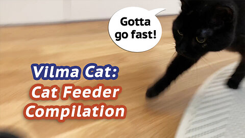 Vilma Cat Feeder Compilation