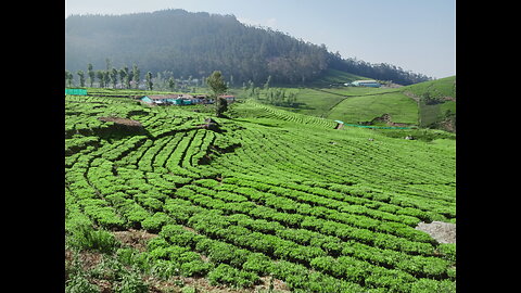 KOTTAGIRI HILLS WAY at tamil nadu -india