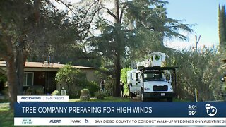 Arborists prepare for downed trees after wind advisory issued