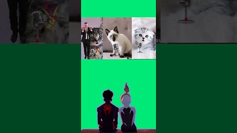 cats singing happy birthday with cat persian short