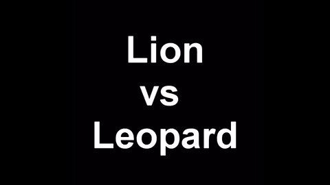 lion vs leopard fight please like share and subscribe this channel 🙏