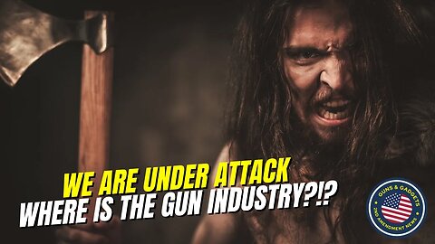 Where The F*CK Is The Gun Industry?!?!