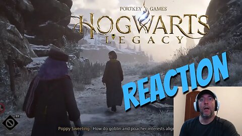 After watching this video I pre-ordered my copy of Hogwarts Legacy!