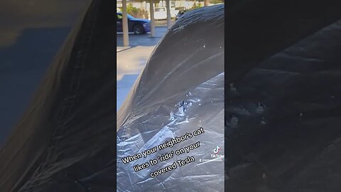 Neighbor's cat vs my Tesla car cover. 😣