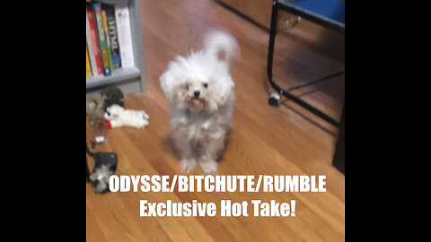 Rumble/Odysee/Bitchute Exclusive Hot Take: May 1st 2024