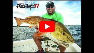 Redfishing in Tampa Bay