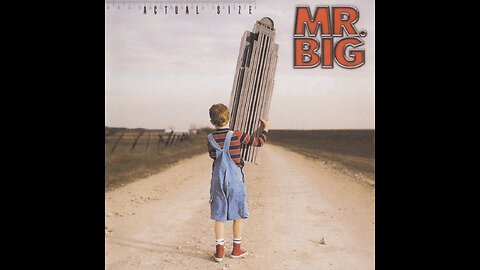 Mr. Big - Actual Size