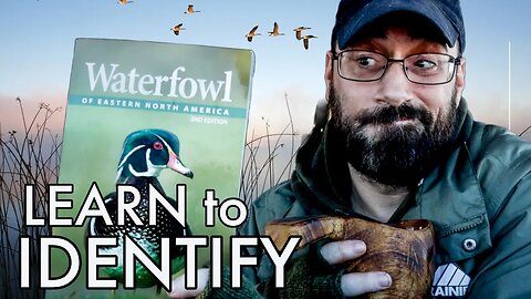 How To Identify North American Waterfowl PART 1