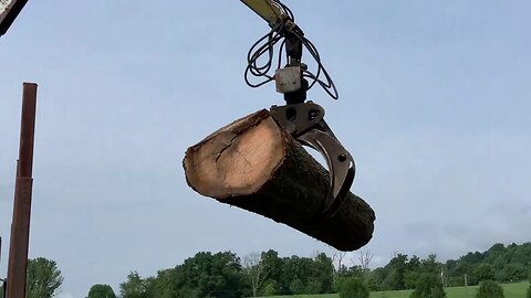 Logs In Flight, The Biggest Load Ever Delivered To The Sawmill & Some Timber Framing