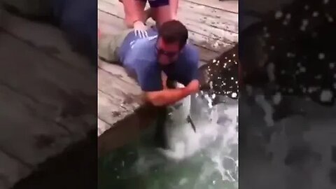 Watch as man gets his hand eaten by giant fish