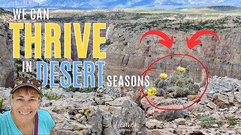 Bible Study: How to Thrive in Desert Seasons, Part 1