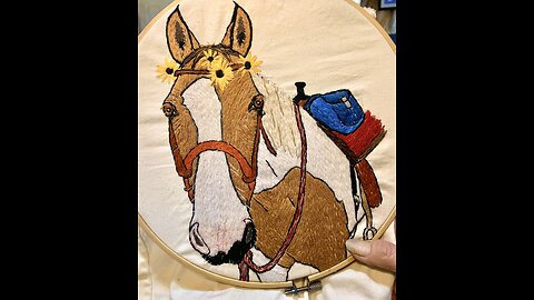 Embroidery art : my paint mare