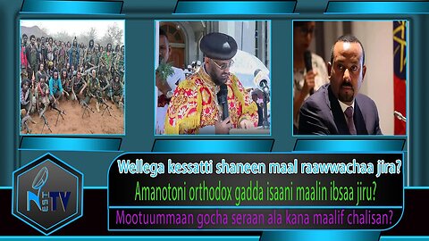 ETHIOPIA:NESTTV:Wellega kessatti shaneen maal raawwachaa jira?....