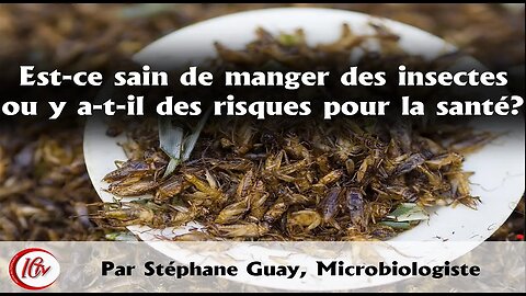 Est ce sain de manger des insectes