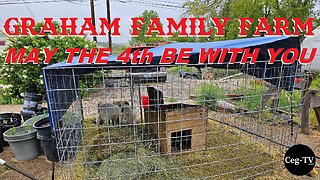 Graham Family Farm: May the 4th Be With You