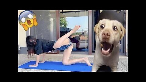 Cute and funny dog with mother
