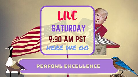 Saturday *LIVE* Peafowl Excellence Edition