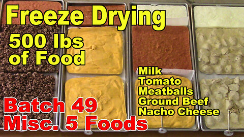 Freeze Drying Your First 500 lbs of Food - Batch 49 - Milk, Tomato, Meatballs, Beef, Nacho Sauce