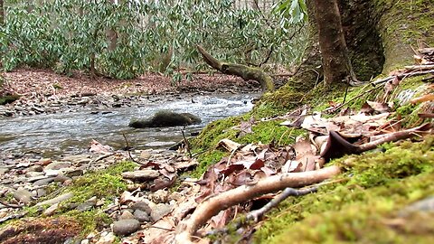 Relaxing 💦 Rushing Creek Nature Water Sounds #WhiteNoise For Focus Or Meditation