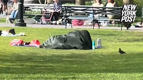 Viral video of 'love-making' couple under blanket in NYC park sparks outrage