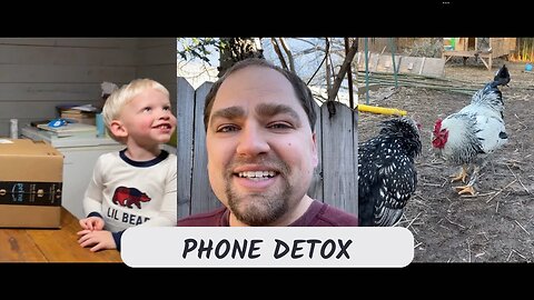 How to Do a Phone Detox | Family Life on the Homestead and a Chicken Fight