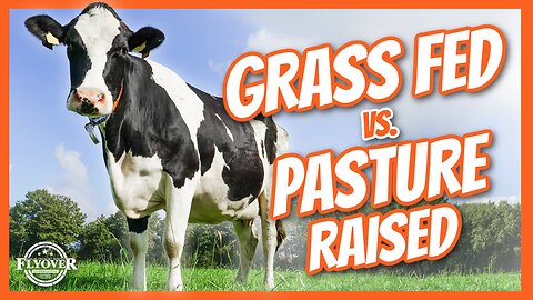 WHICH IS BETTER: Grass Fed or Pasture Raised Beef - Jeremiah and Amy Harris