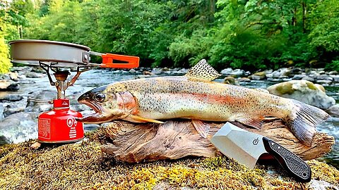 BIG Rainbow Trout Catch & Cook!!! PRISTINE River Fishing with my Dog & UNDERWATER FOOTAGE