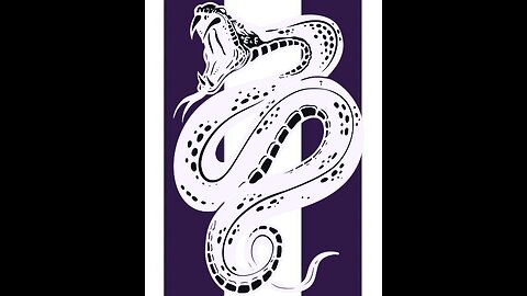 🐍⚡️White Serpent Media⚡️🐍 | May 3rd, 2024 | TESTING, TESTING, 1, 2, 3!