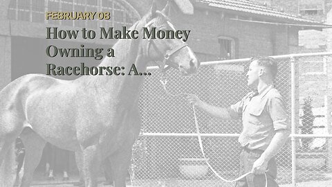 How to Make Money Owning a Racehorse: A Beginners Guide