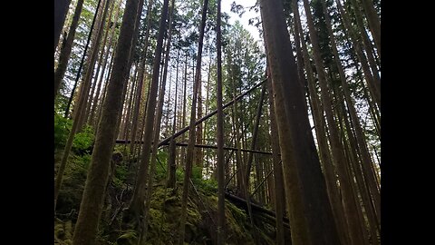 Nighttime quad ride through a trail system in the southern BC interior.