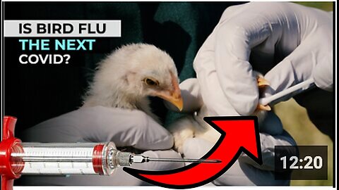 THE 'BIRD FLU' WILL BE THE NEXT PLANNED GLOBAL 'PANDEMIC' LIKE 'COVID'?
