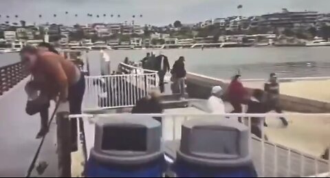 Illegal immigrants dock in a Marina in San Diego and storm into neighborhoods