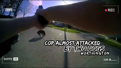 Worthington Police Officer Almost Attacked By Dogs