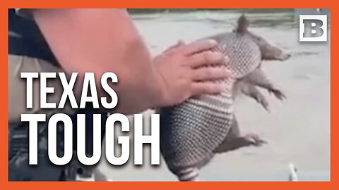 "Poor Little Fella": Armadillo Rescued from High Floodwaters in Southeast Texas