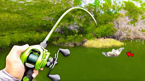 Fishing BIG Swimbaits for 15lb Bass in HIDDEN Trophy Pond!